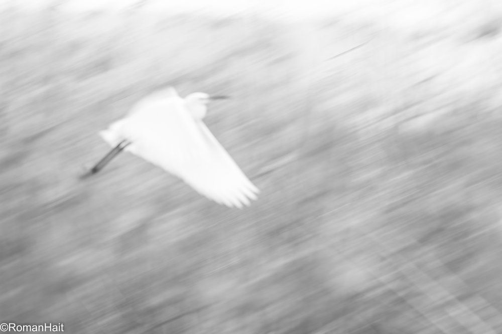 Photograph by Hait Roman