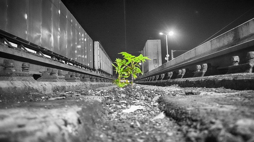 Life between black and white