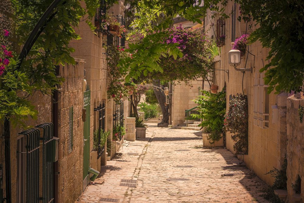 Тишина и покой.