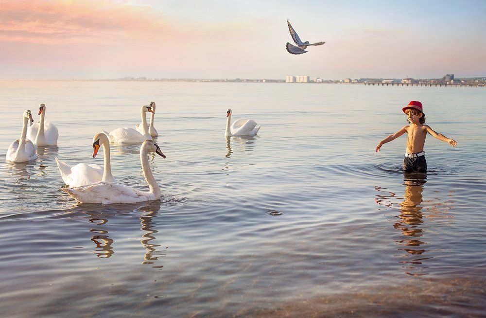 Повелитель птиц