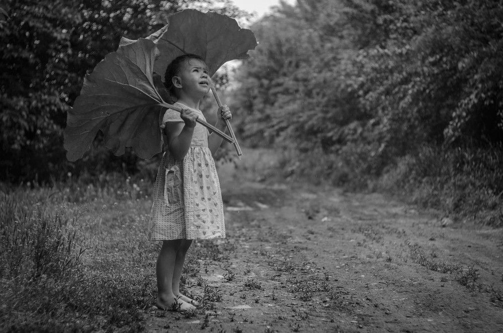 Майский дождь