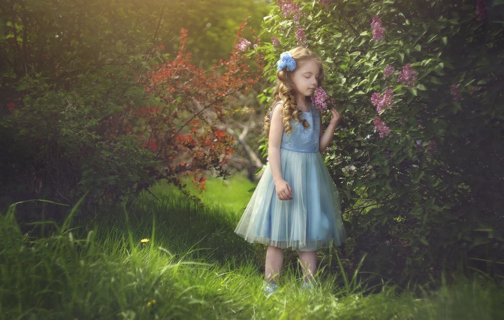 Алиса в стране чудес