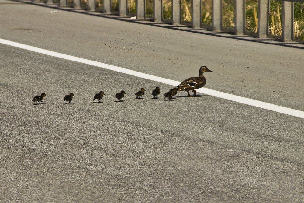 Майская прогулка