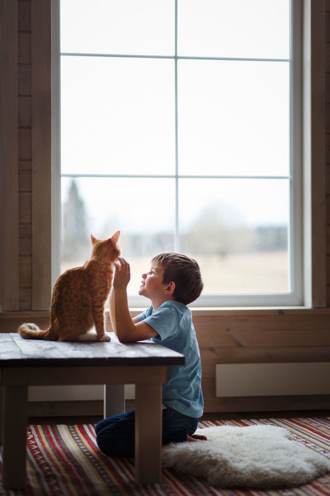 Photograph by Анна Родионова