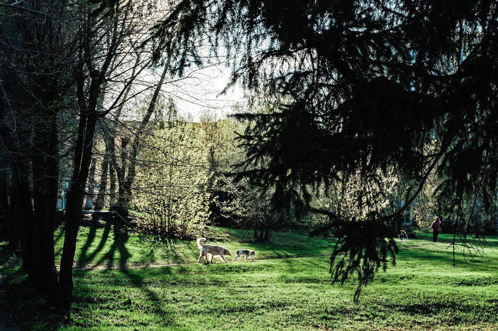 Весенние прогулки