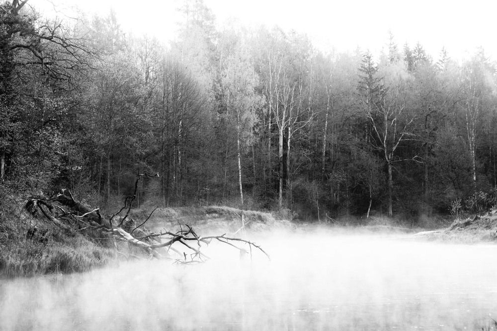 Предрассветный туман на Рессете