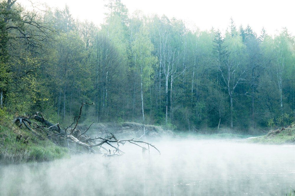 Предрассветный туман на Рессете