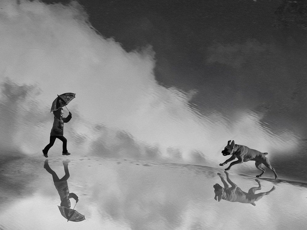 Нам не страшен серый волк