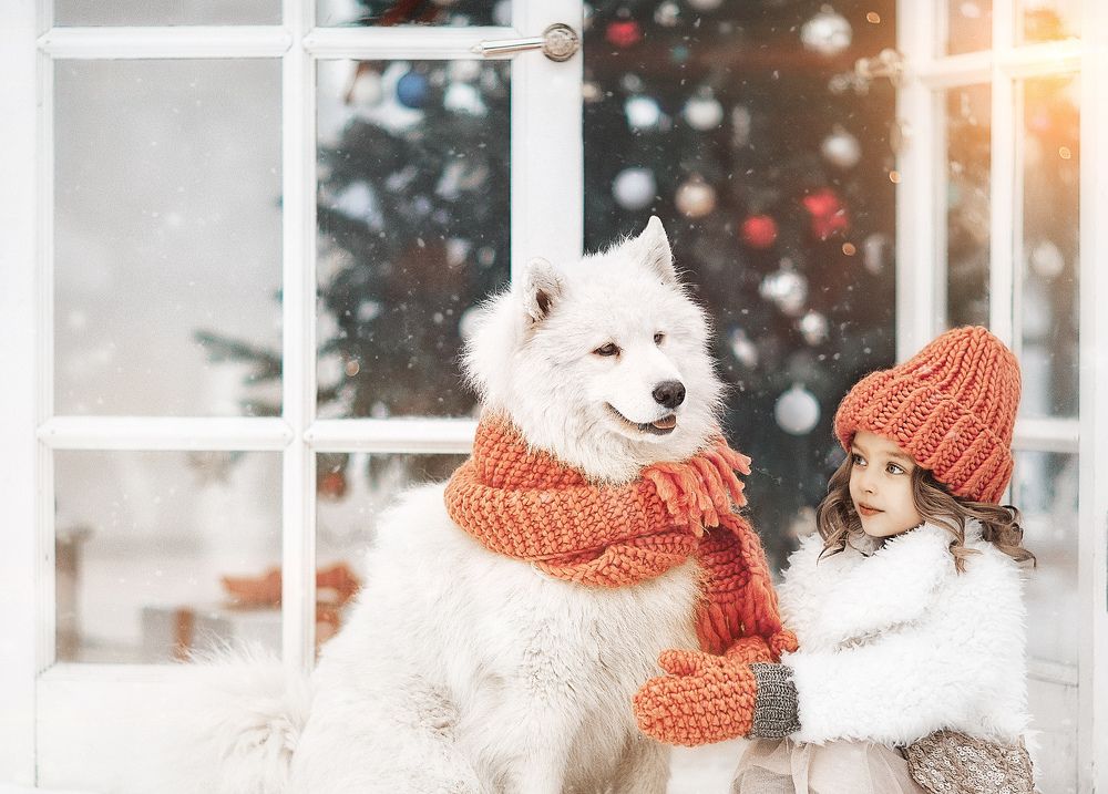 В гостях у зимы