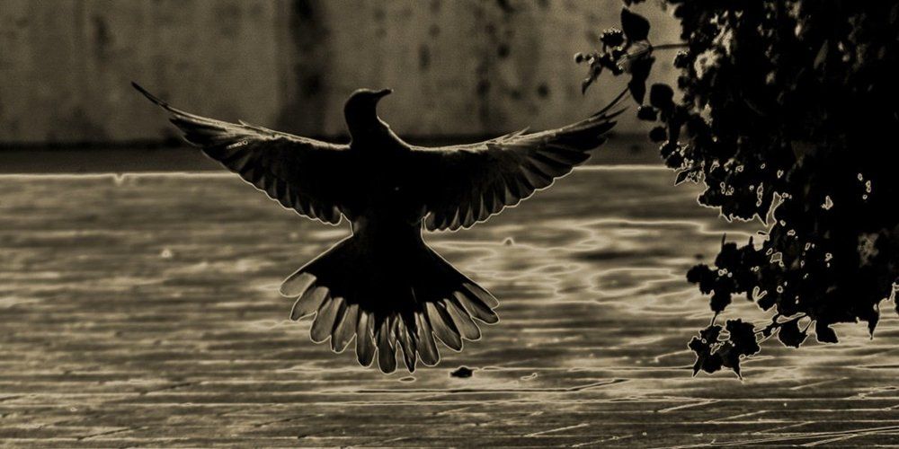 "отрываясь..."