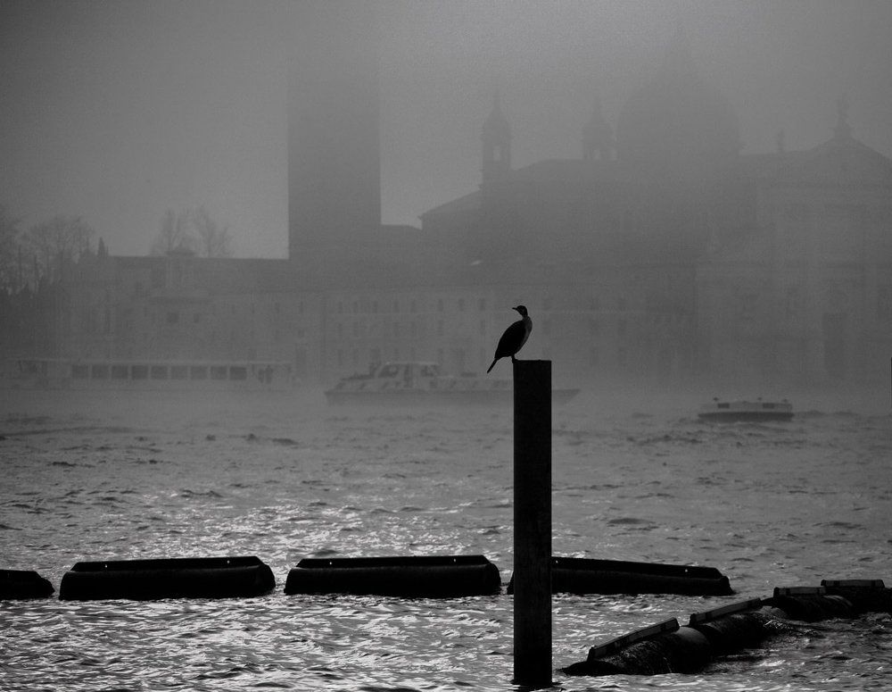 "в ожидании..."