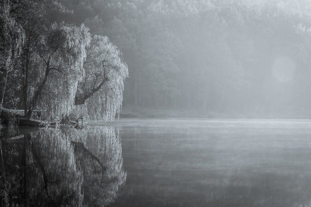 Зеркальным утром....