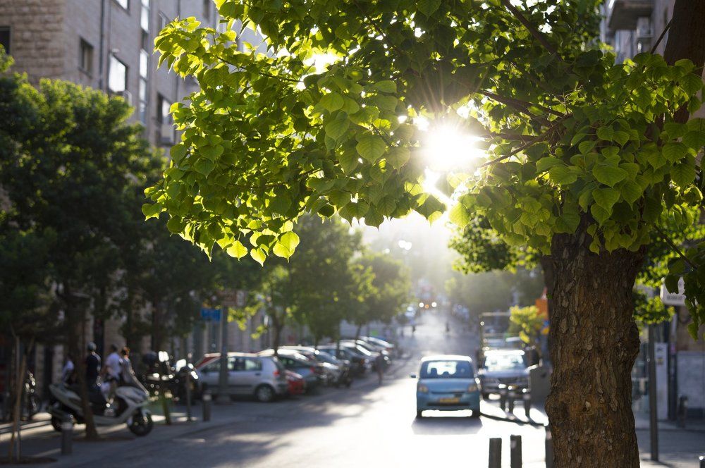 Город Света