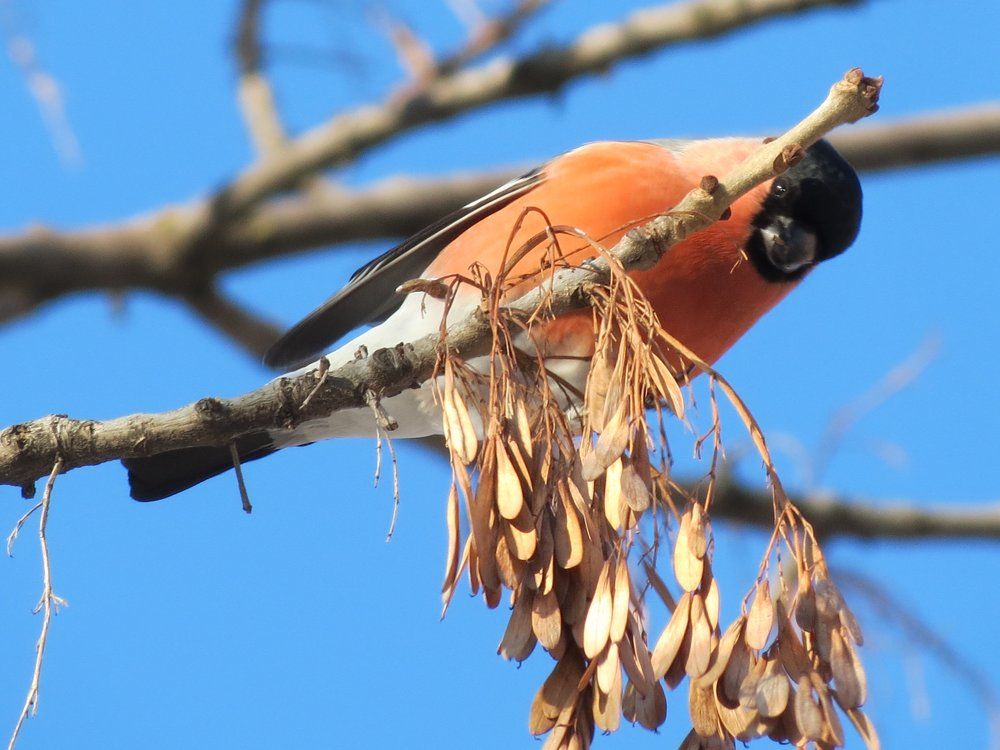 Кто это там ???