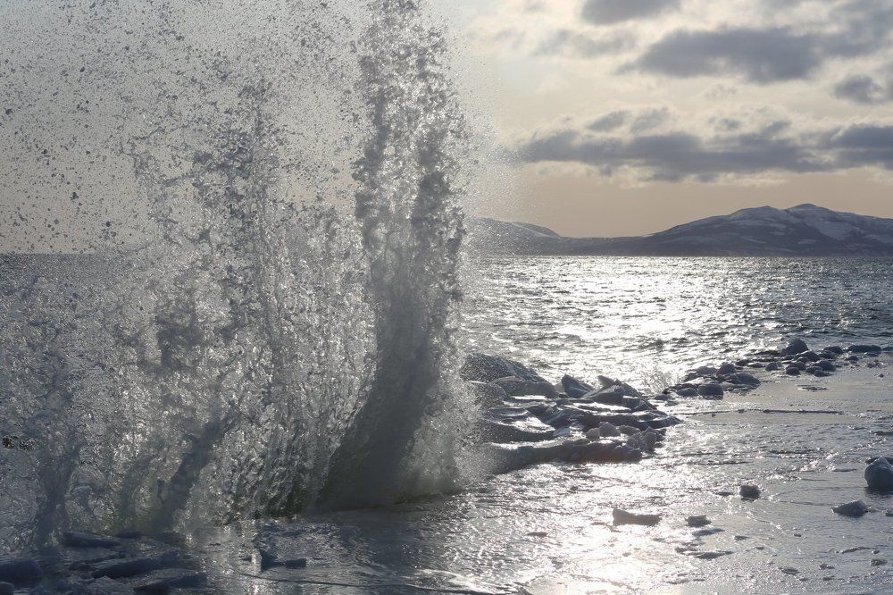 Утренний бриз