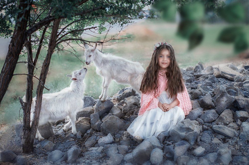 Сказка рядом