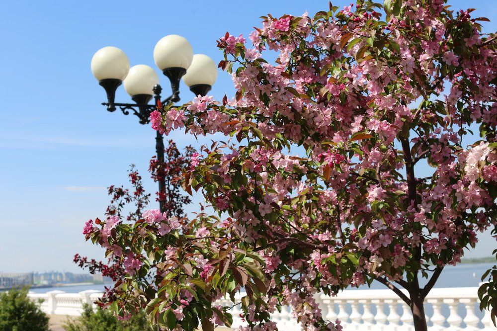 Нижневолжская набережная.