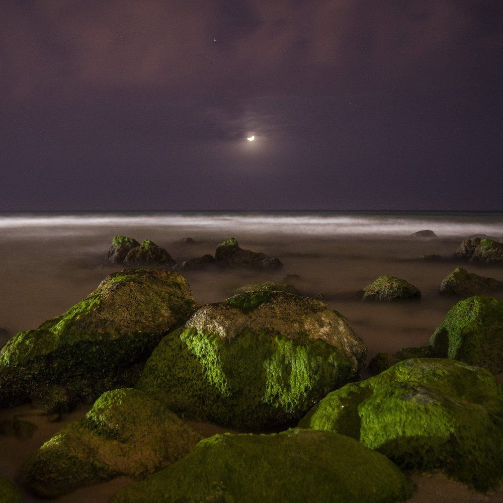 Photograph by Бадаев Антон