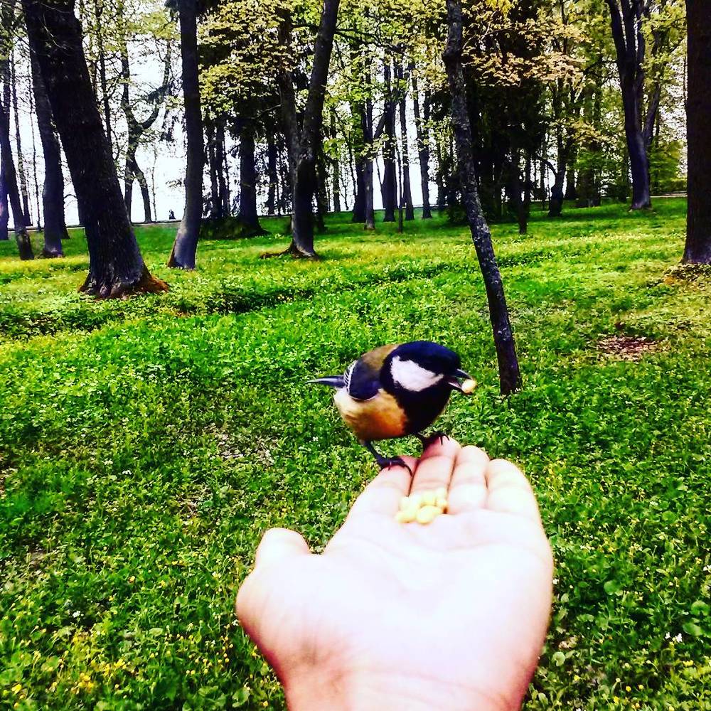 Photograph by Бузоева Дана