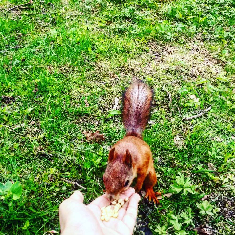 Знакомство