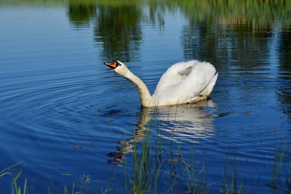 Photograph by Alexey Smal