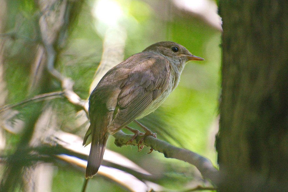 Где же зрители?