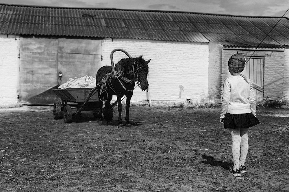 Девочка и лошадь