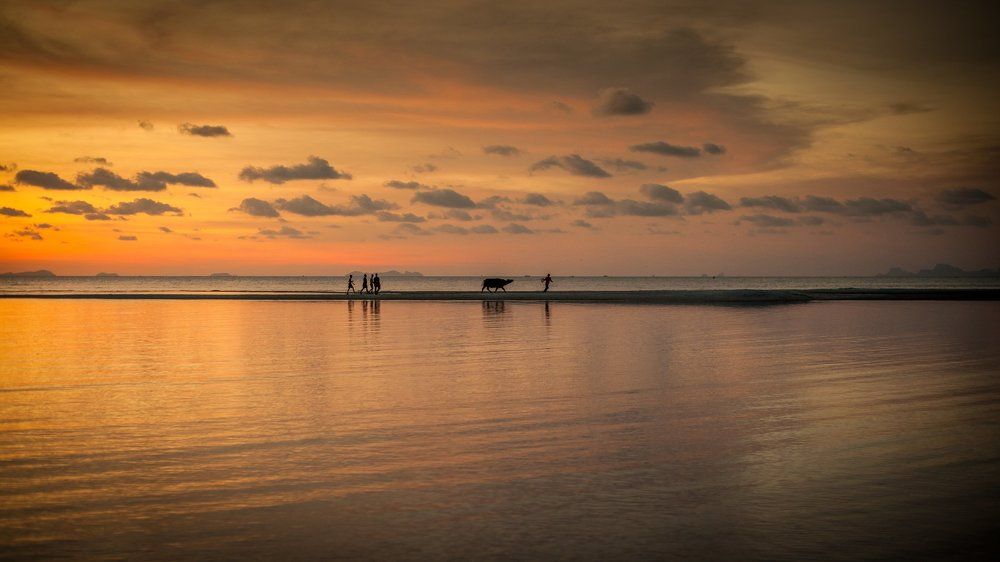 домой после купаний