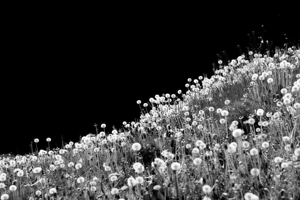 Photograph by Alexey Smal