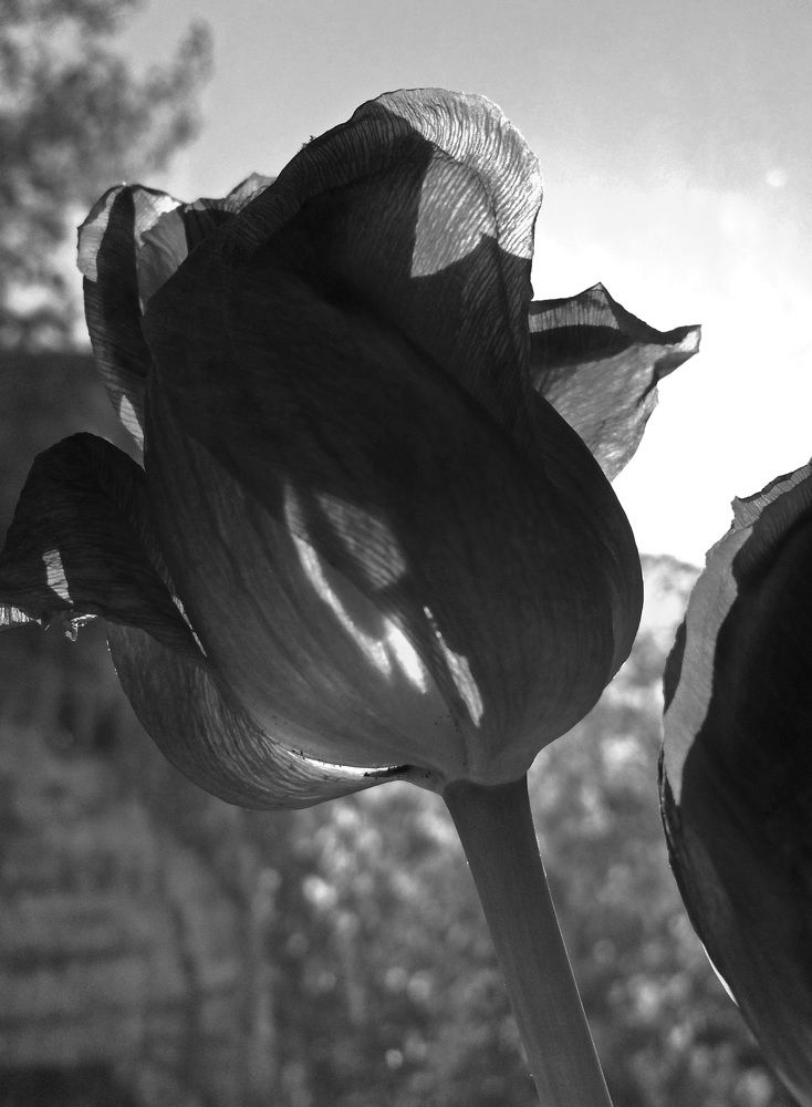 На последнем вздохе