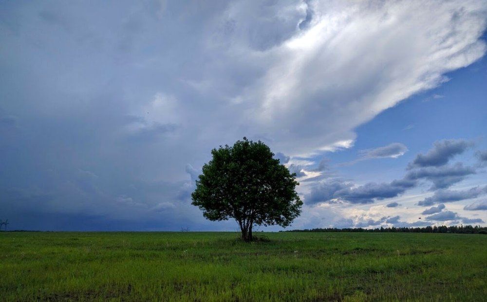 Скоро будет буря