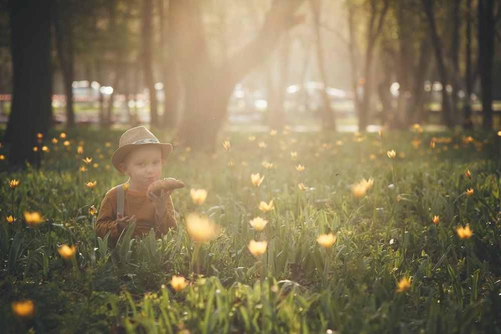 Фотография автора Людмила Сабанина