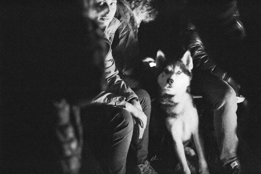 So curious to everything