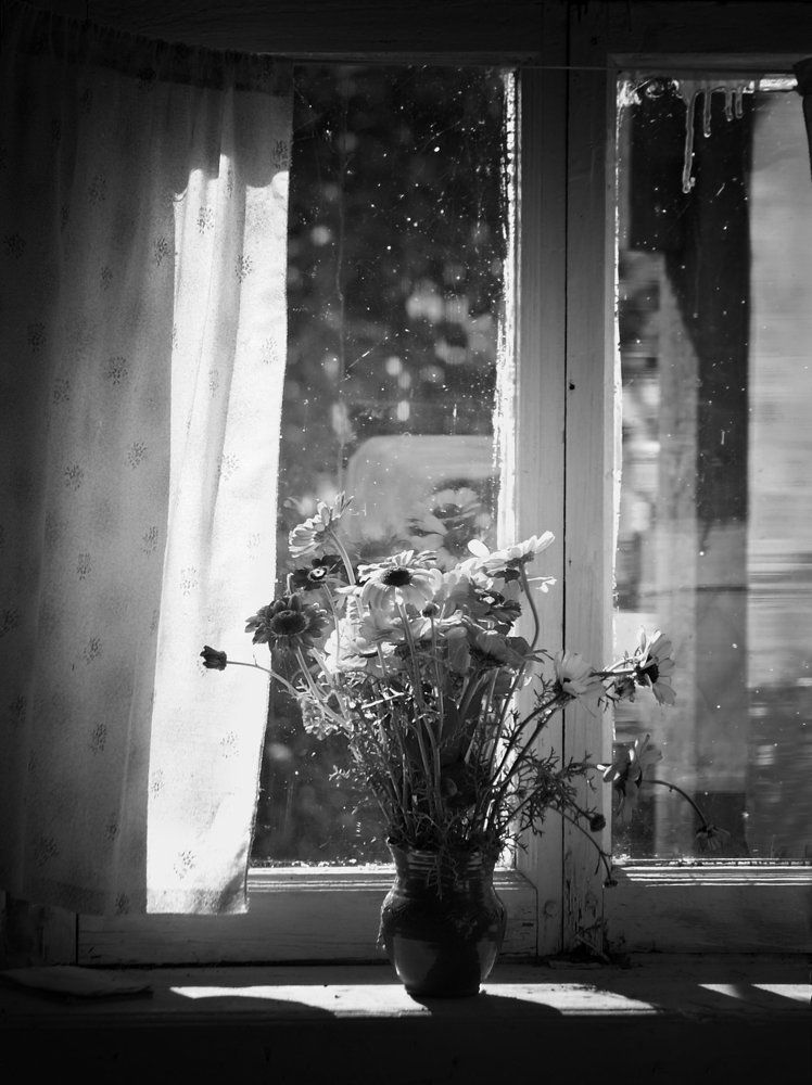 В старом доме