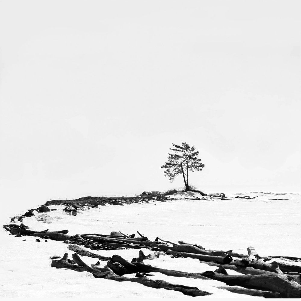 Весна в Сибири...