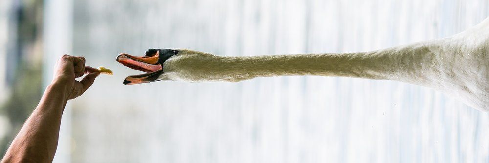 Ну-ка, отними!