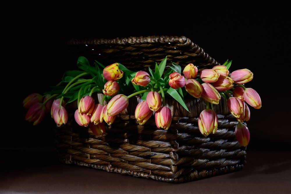 Photograph by Владимир Малевич