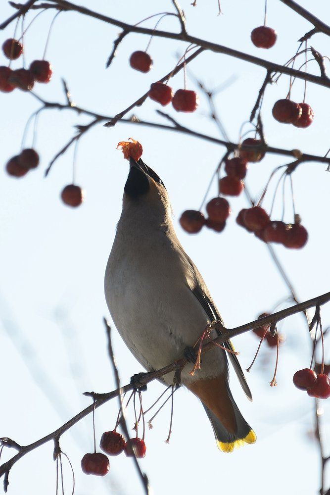 Photograph by Владимир Малевич