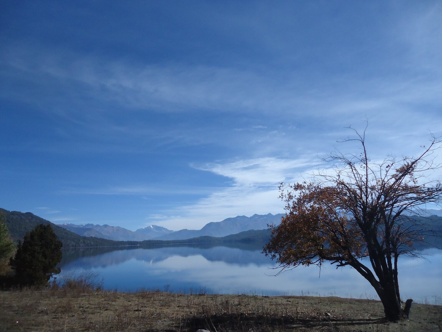Photo #1781017