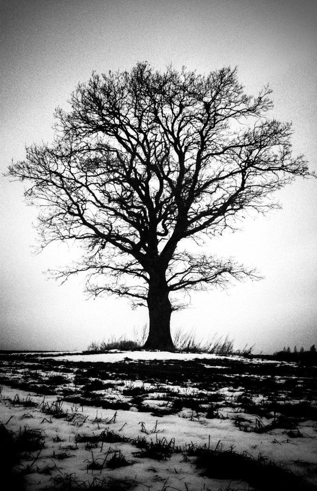 В ожидании весны