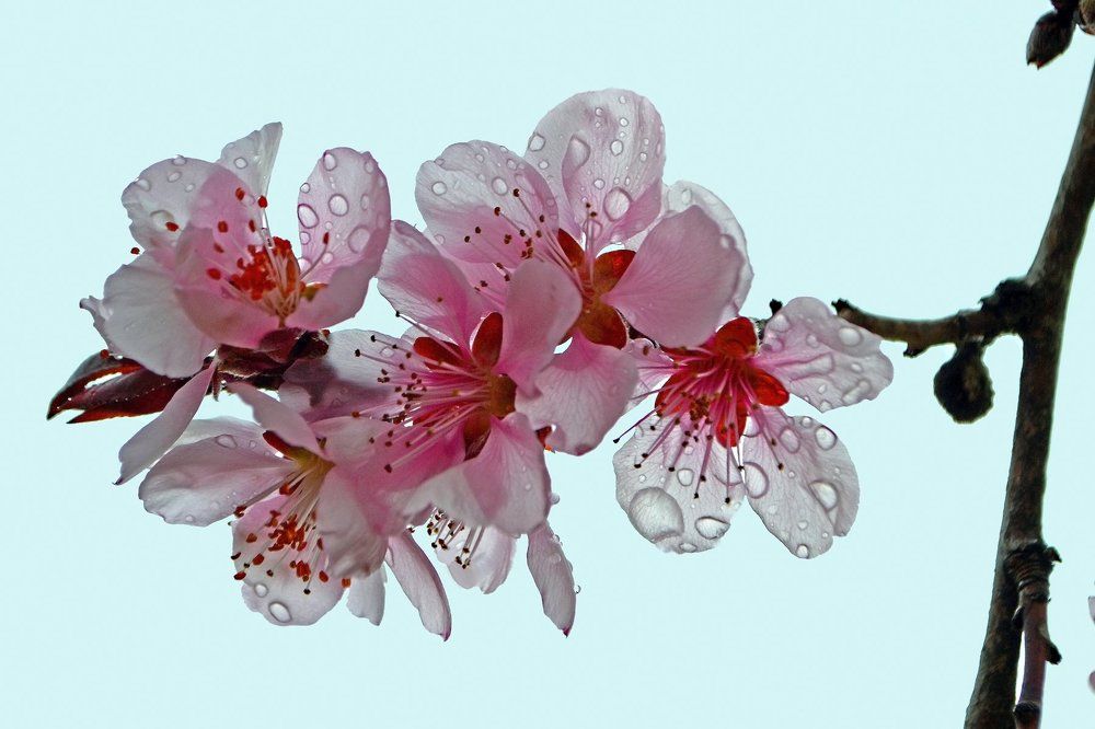 После дождика