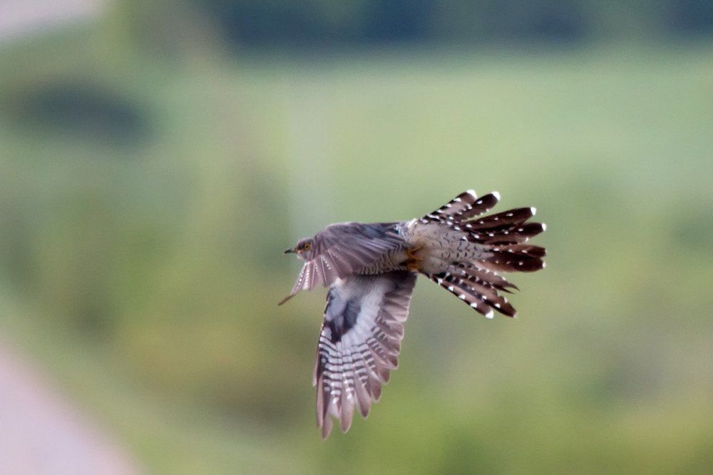 Крутой поворот