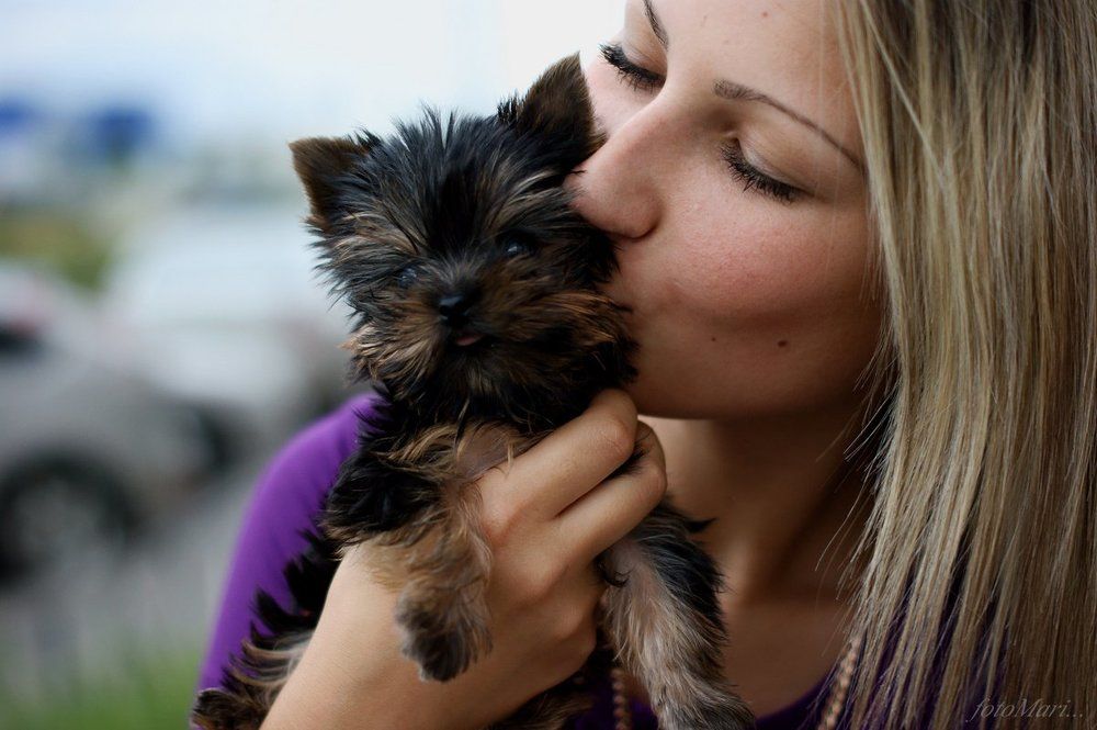 Мой ласковый и нежный зверь.