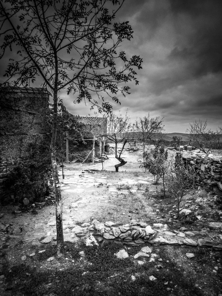 Photograph by Michel Rombert