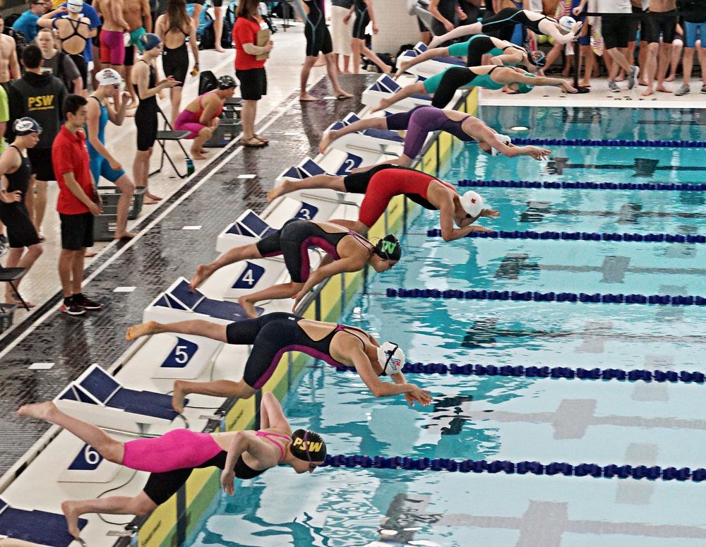 Dynamic colorful swimwear