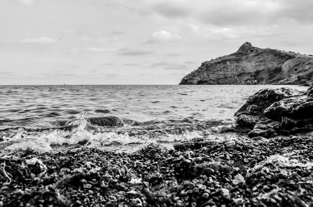 На берегу Черного моря