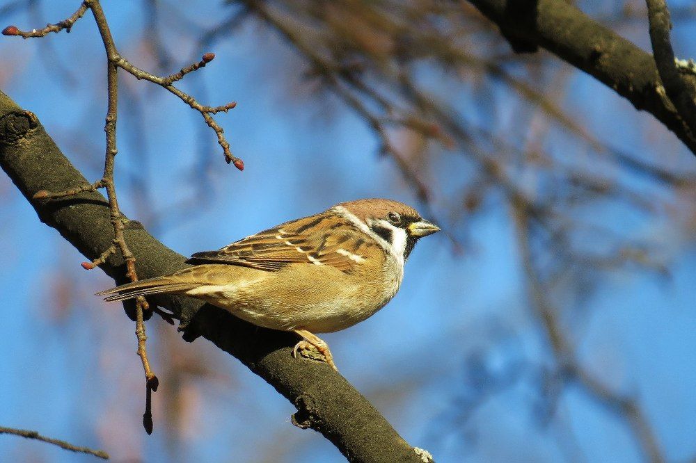 Photograph by Константин Калинин
