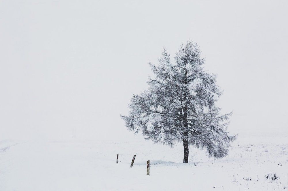Дорога на Усть-Кан.