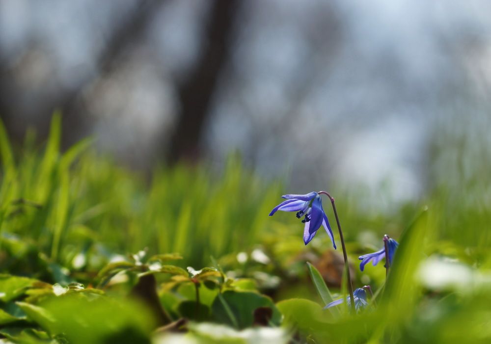 one of the first....один из первых