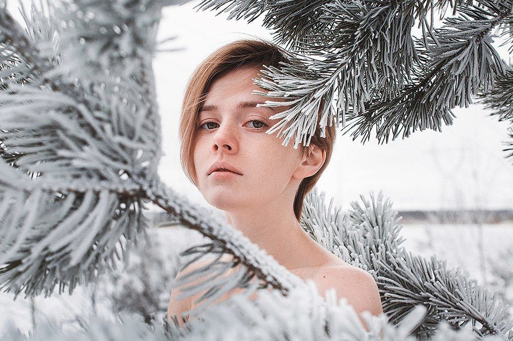 Портрет в снегах